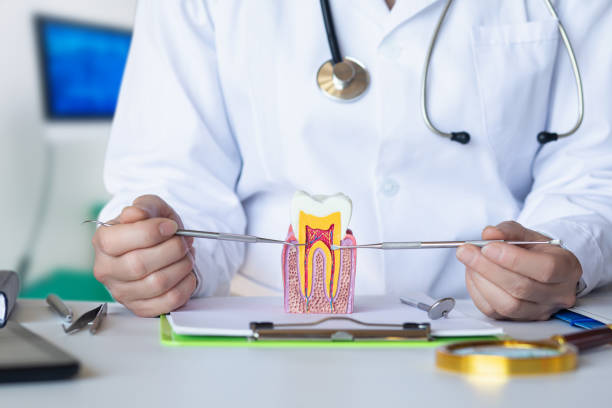 Best Emergency Orthodontic Repairs in Lake Dalecarlia, IN